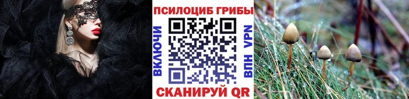 MEGA зеркало  Верхотурье  Псилоцибиновые грибы Magic Shrooms 