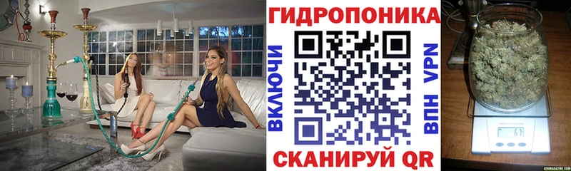 Бошки марихуана AK-47  blacksprut рабочий сайт  Верхотурье 